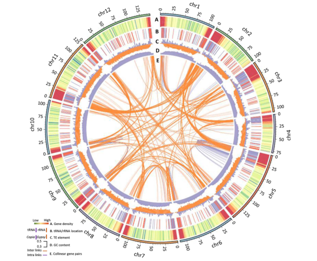 1658920649218533.png 3.png